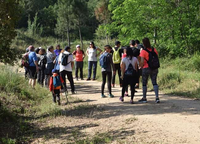 Passejada per descobrir la vall de Ramió, a Fogars de la Selva. Autor: Esteve Fernández