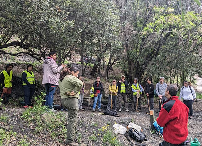 Explicacions de Mireia Vila per a la retirada del seneci del cap. Autor: CVPN