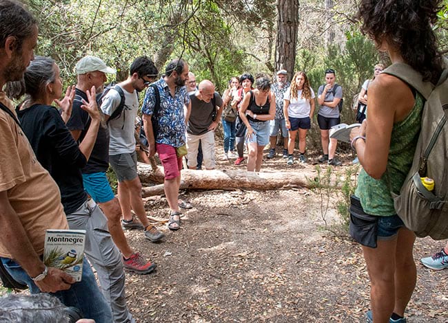 La ruta, per compartir experiències sobre les visites escolars. Autor: XPN