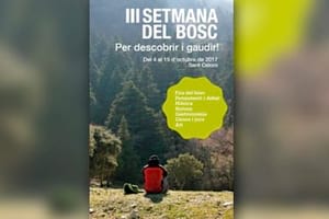 Cartell. Autor: III Setmana del Bosc