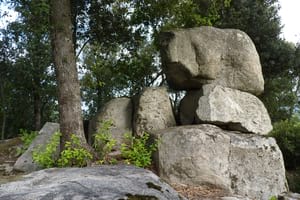 Vallgorguina. Autor: Roger Porta