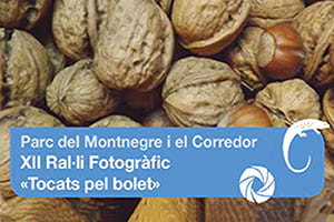 Detall del programa. Autor: XPN