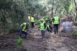 Voluntaris a Can Bosc. Autor: Cercle Voluntaris