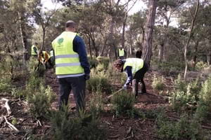 Voluntaris durant l'acció. Autor: Cercle Voluntaris