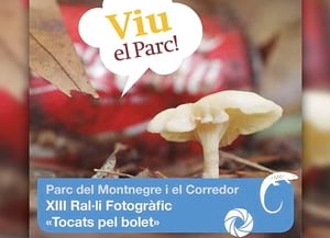 13è Ral·li Fotogràfic 'Tocats pel bolet'. Autor: XPN