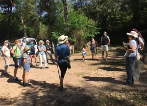 Participants a la passejada guiada.<br />Autor: Escola de Natura del Corredor