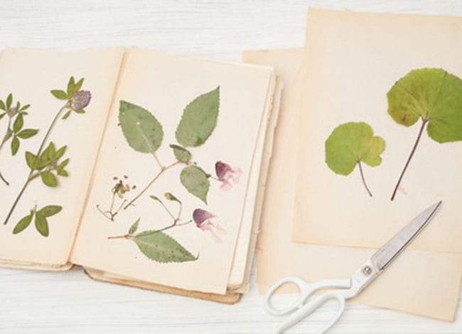 Biblioteca de Tordera