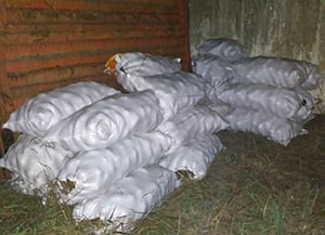 Sacs comissats pels Mossos al Parc<br />del Montnegre i el Corredor. Autor: XPN