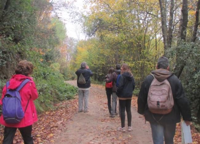 Passejada pel Parc. Autora: Maria Famadas