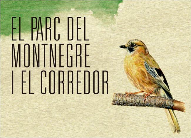 Detall del cartell. Autor: XPN