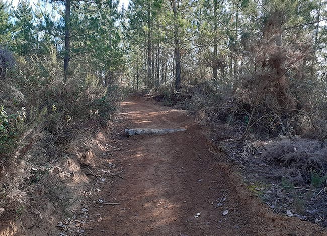 Tram de l'itinerari arranjat amb travesses de fusta que retenen la terra. Autor: XPN