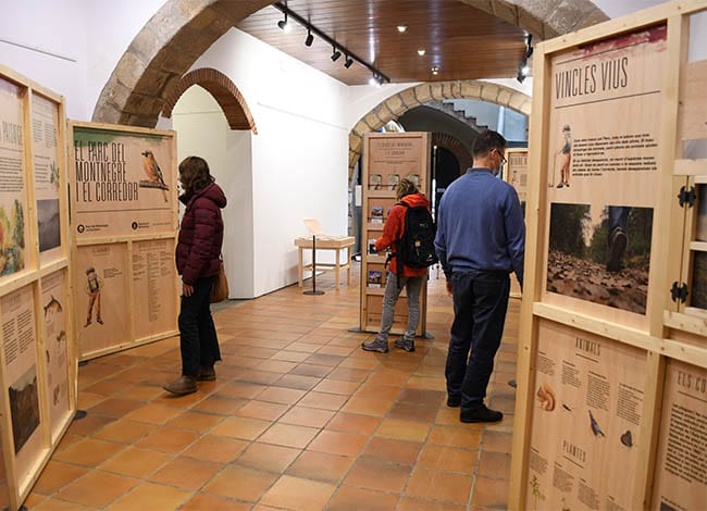 L'exposició, a can Ramis. Autor: XPN