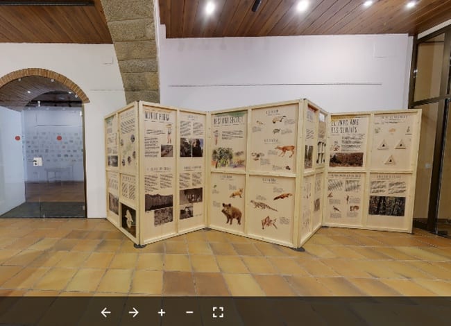 La visita virtual recorre la dotzena de plafons i s'amplia amb vídeos, cartells, jocs. Autor: XPN