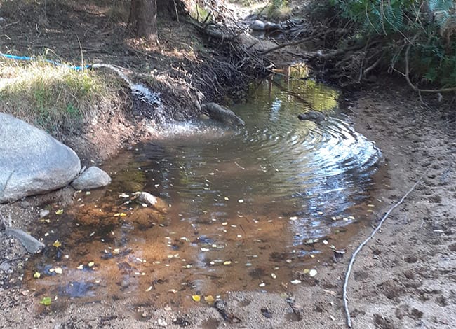 L'aportació d'aigua a la riera. Autor: XPN