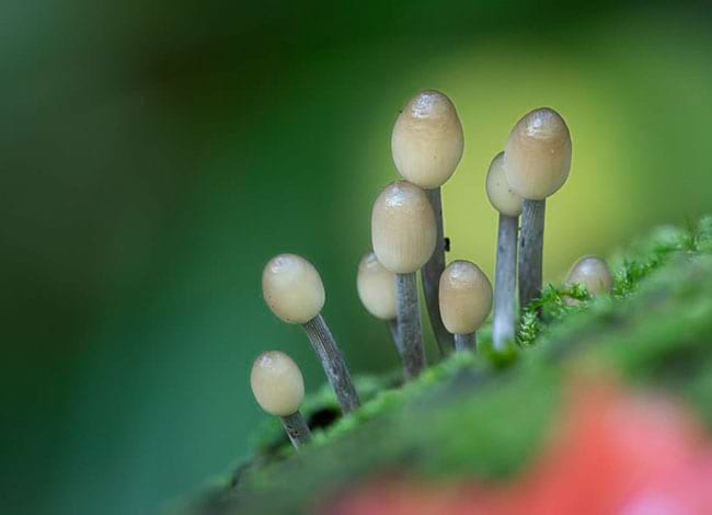 'Gran i petit', Premi a la millor col·lecció 2021. Autor: Josep Maria Pérez Martín