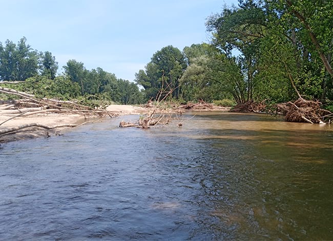 Riu Tordera a l'altura d'Hostalric, el 25 de maig del 2020.<br />Autor: Universitat de Barcelona