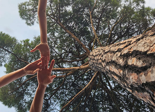 El premi de la categoria infantil ha estat per la fotografia 