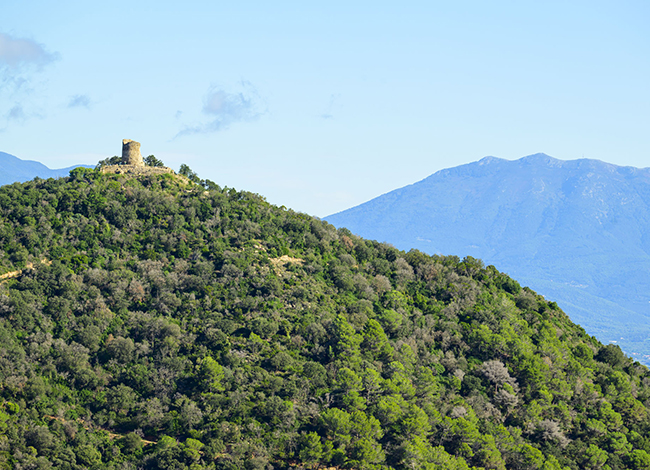 Panoràmica d'un dels espais del Parc de la Serralada Litoral. Autoria: Iñaki Relanzón