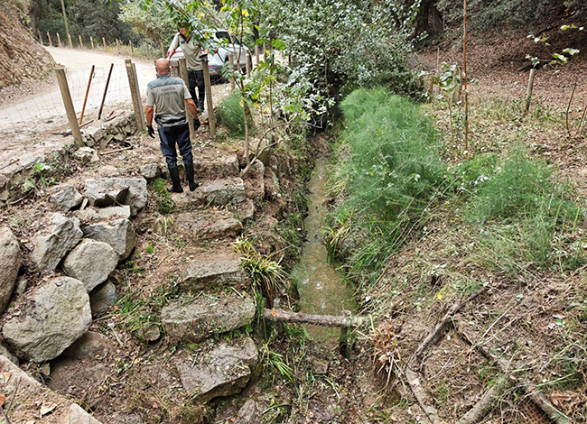 La font, un cop arranjada. © XPN