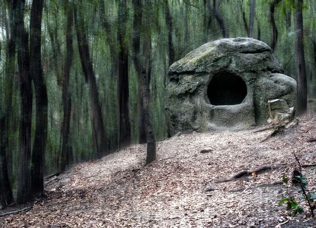 'Bosque encantado', 1r premi del 14è Concurs Fotogràfic del Parc. Autor: José Antonio Ríos Robles