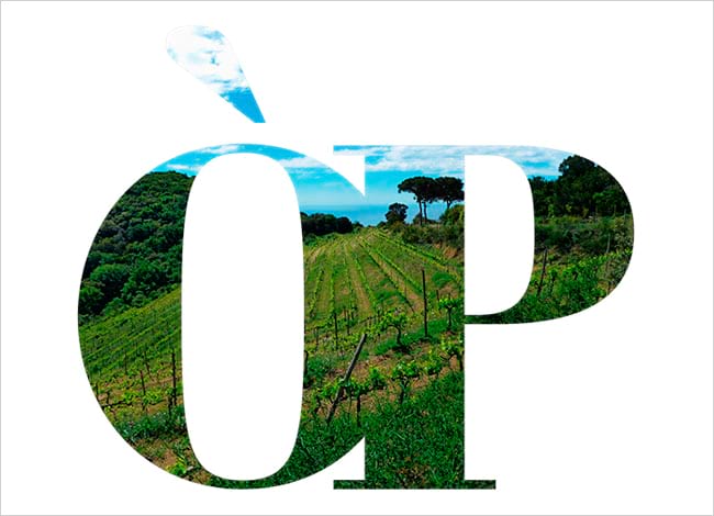 El 20 d'abril comença un nou cicle d'Òpera als parcs. Autor: XPN