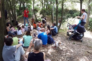 Contes a l'ombra. Autor: FUSIC