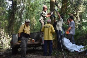 Feines de neteja. Autor: CPSL