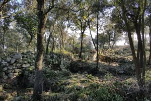 Poblat ibèric de Céllecs. Autor: CPSL