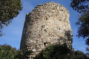 Castell de Sant Miquel. Autor: SPAL