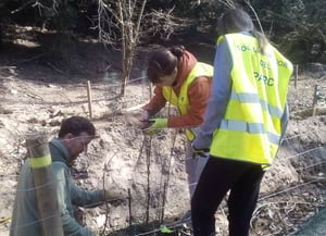 Estudiants i un guarda plantant avellaners. Autor: XPN