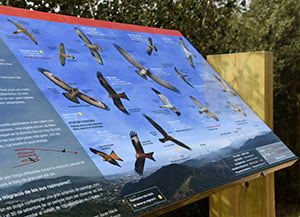 Detall del plafó. Autor: CPSL