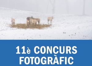11è Concurs Fotogràfic. Autor: CPSL