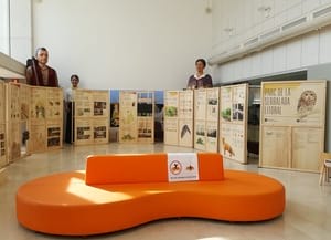 Detall de la mostra. Autor: XPN