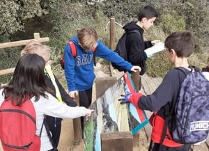 Alumnes mirant el plafó dels ocells. Autor: XPN