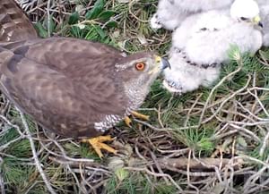 Youtube Astor Parc Serralada Litoral. Autor: XPN