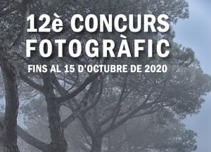 Detall del cartell de la 12a edició. Autor: CPSL