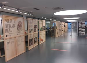 Detall de l'exposició al Masnou. Autor: XPN