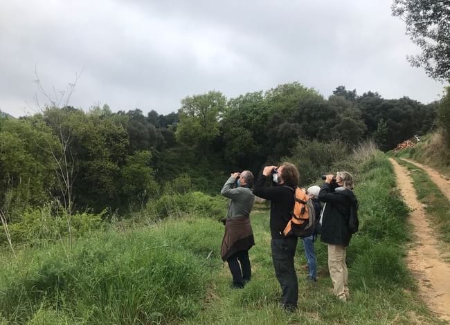 Activitat guiada al Parc de la Serralada Litoral.<br />Autor: Aula BGT