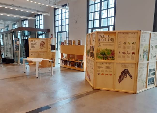 Plafons instal·lats a la Biblioteca. Autor: XPN