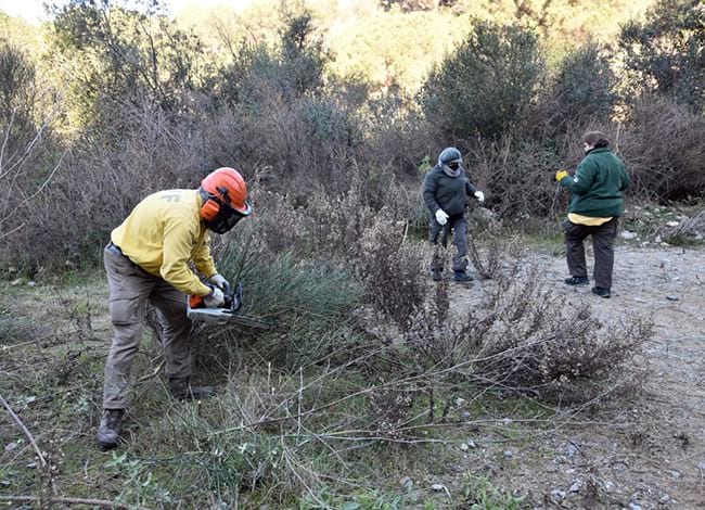 L'actuació per afavorir la lavatera. Autor: XPN