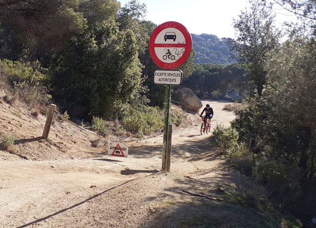 Ciclista circulant dins d'un camí senyalitzat per una batuda de senglar. Autor: XPN