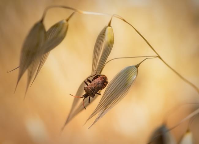 'Lamparitas', imatge guanyadora del 1r premi del 13è Concurs Fotogràfic. Autor: Jordi Ventura Carbó