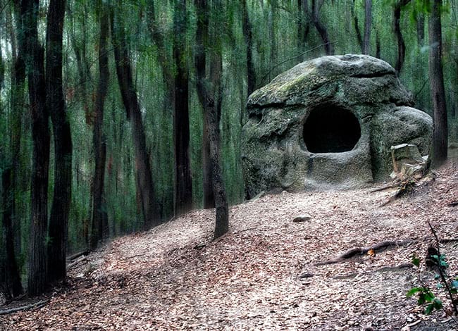 Fotografia guanyadora del 1r premi: 'Bosque encantado'. Autor: José Antonio Ríos Robles