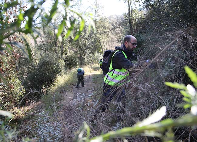 Voluntaris retirant la planta al·lòctona del torrent. Autor: Cercle de Voluntaris dels Parcs Natrurals