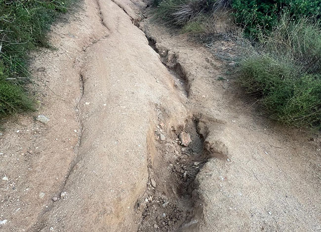 Pista de Sant Climent amb xaragalls, abans de l'actuació. Autor: XPN