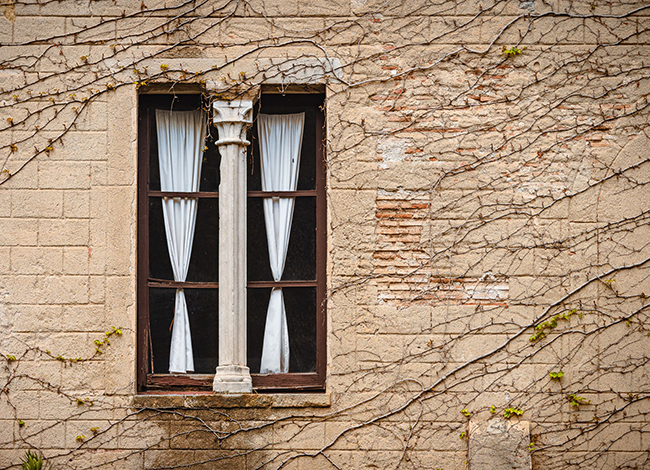 Fotografia guanyadora del tema 