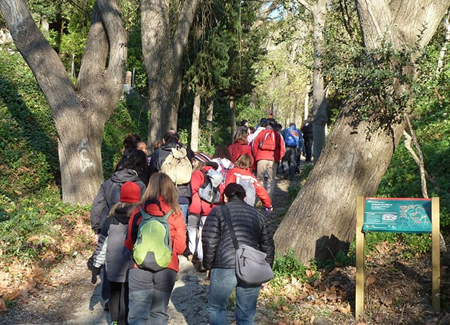 Una passejada guiada que es va fer a Santa Coloma de Gramenet. Autor: XPN