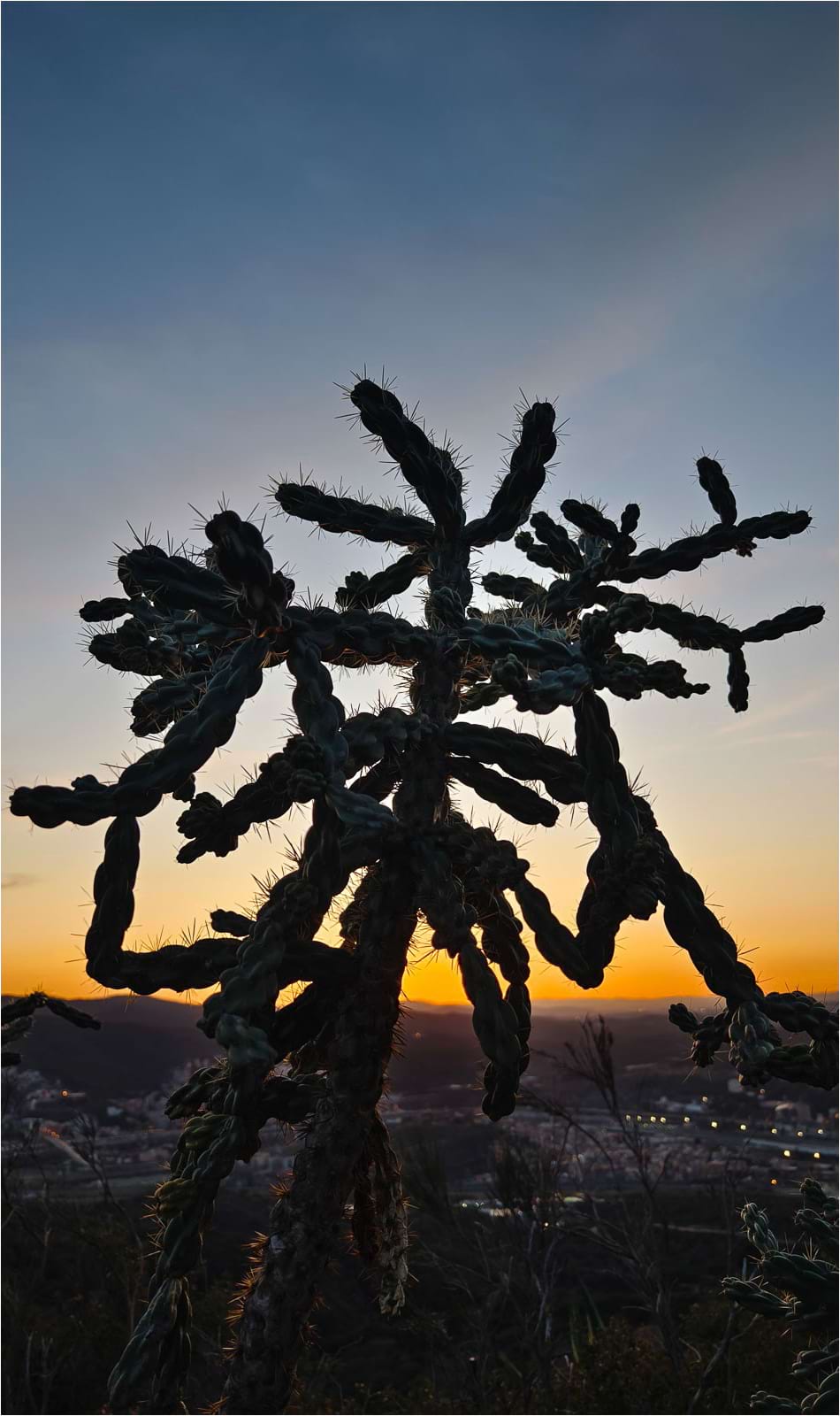 Premi a la millor col·lecció en la categoria de natura. Autor: Eduardo Palomo