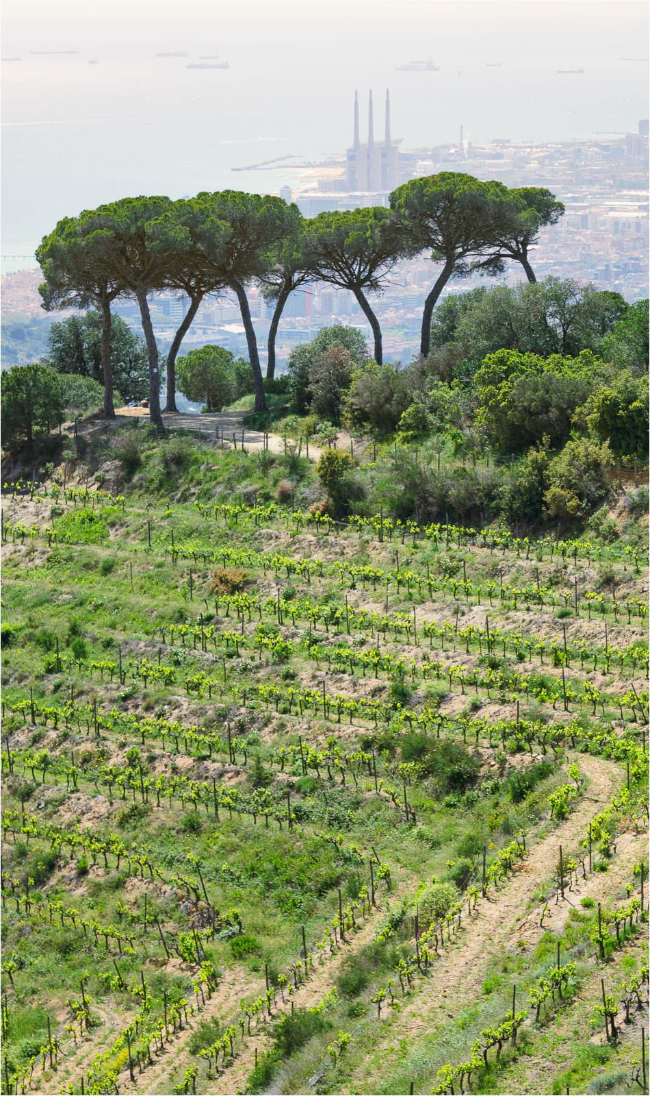 Premi a la millor fotografia de paisatge. Autor: Ramon Calvet