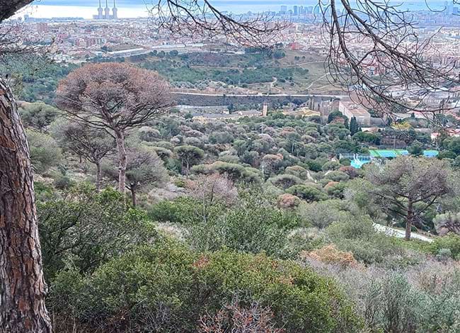 Vista des de la finca de Torribera. Autor: Parc de la Serralada de Marina